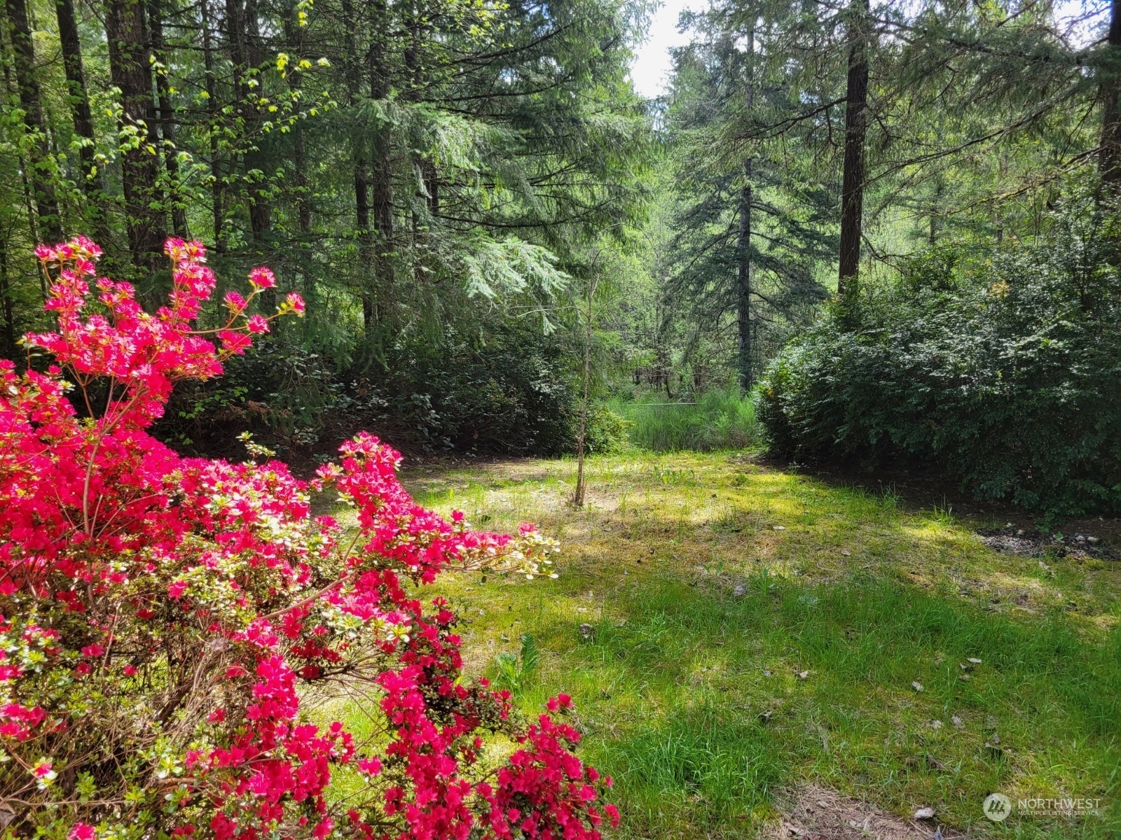 Property Photo:  11421  141st Avenue Ct NW  WA 98329 