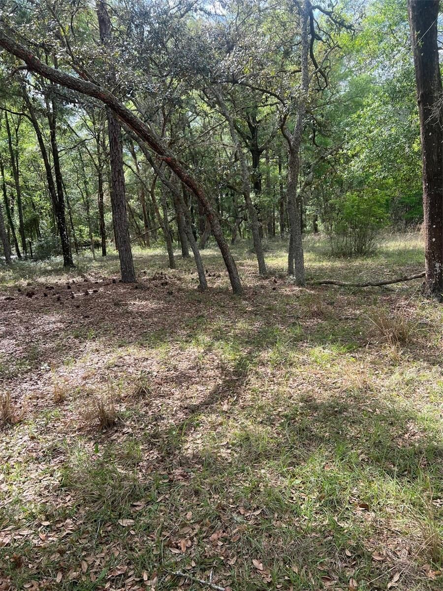 Property Photo: 5822 SW 120th Avenue FL 33597