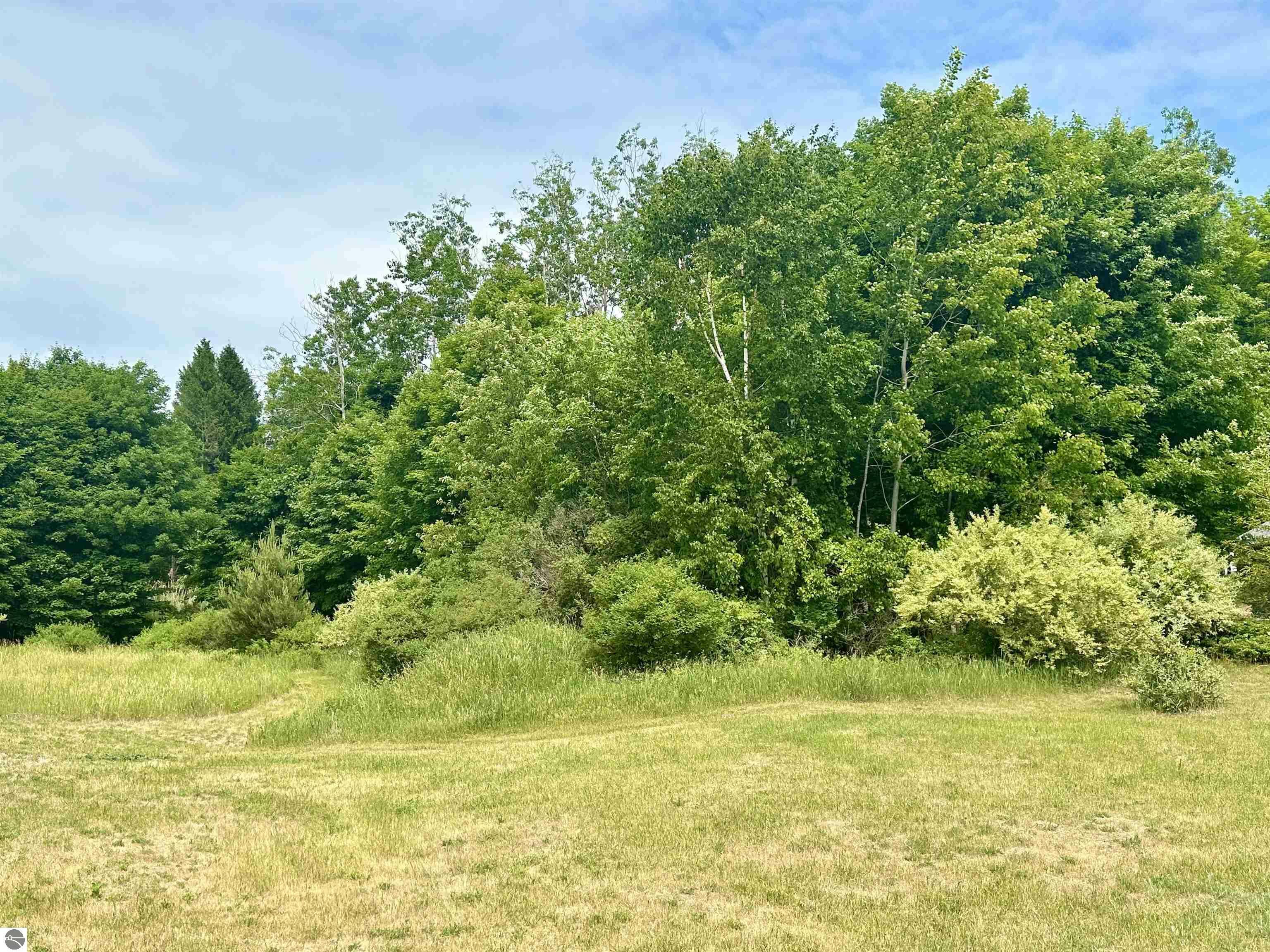 Property Photo: 000 Hanrath Street MI 49635
