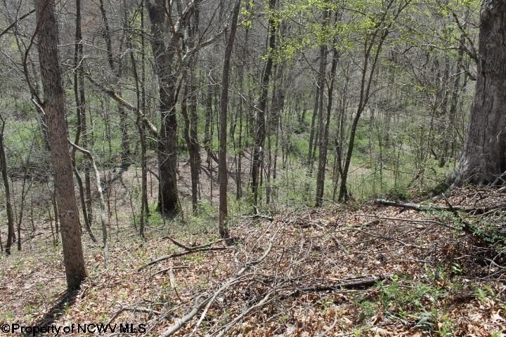 Property Photo: 0 S Hazelwood Road WV 26253