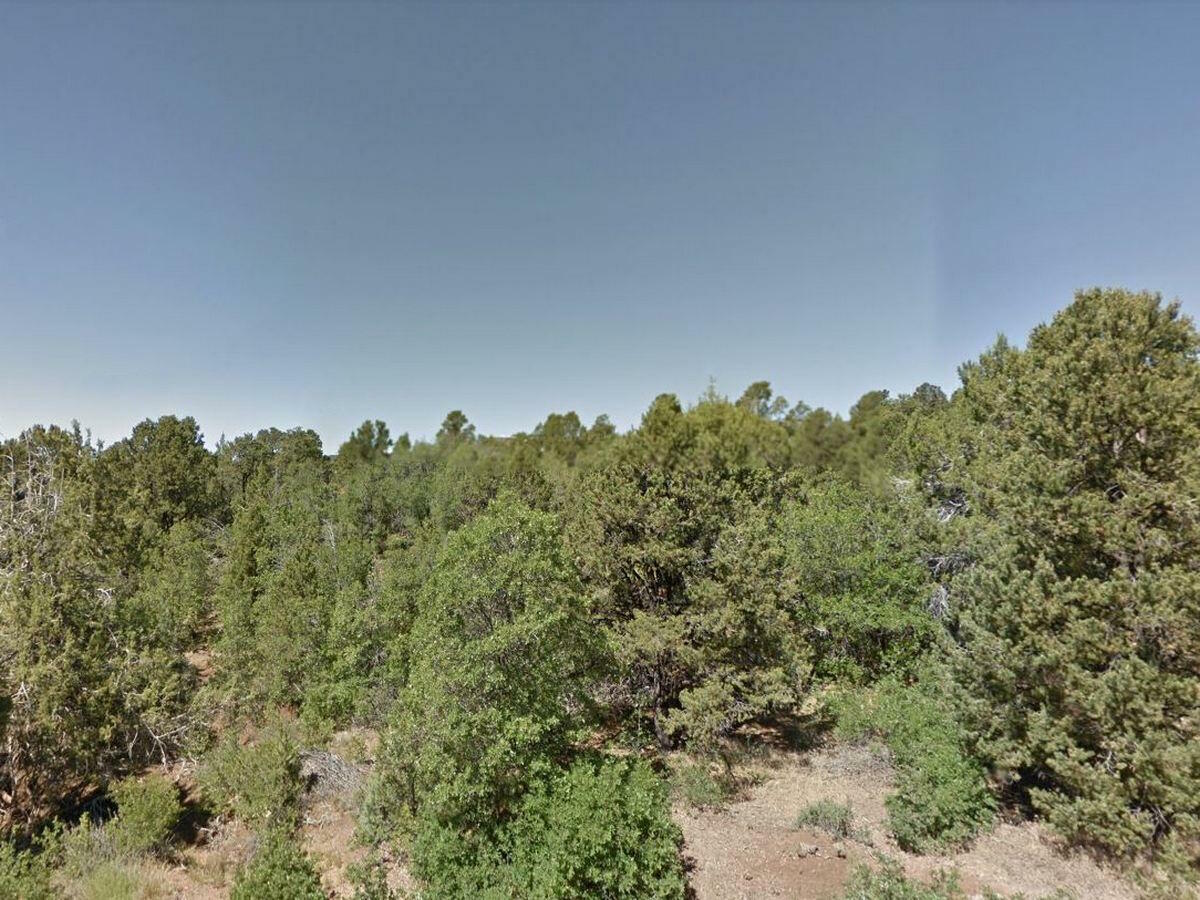 Property Photo:  Zion Hunting Est Blk 2 Lot 37  UT 84762 