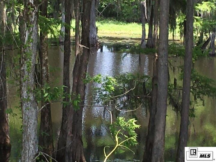 Property Photo: 9036 Desiard Trace LA 71280