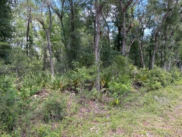 Property Photo: 6471 Otter Drive FL 33597