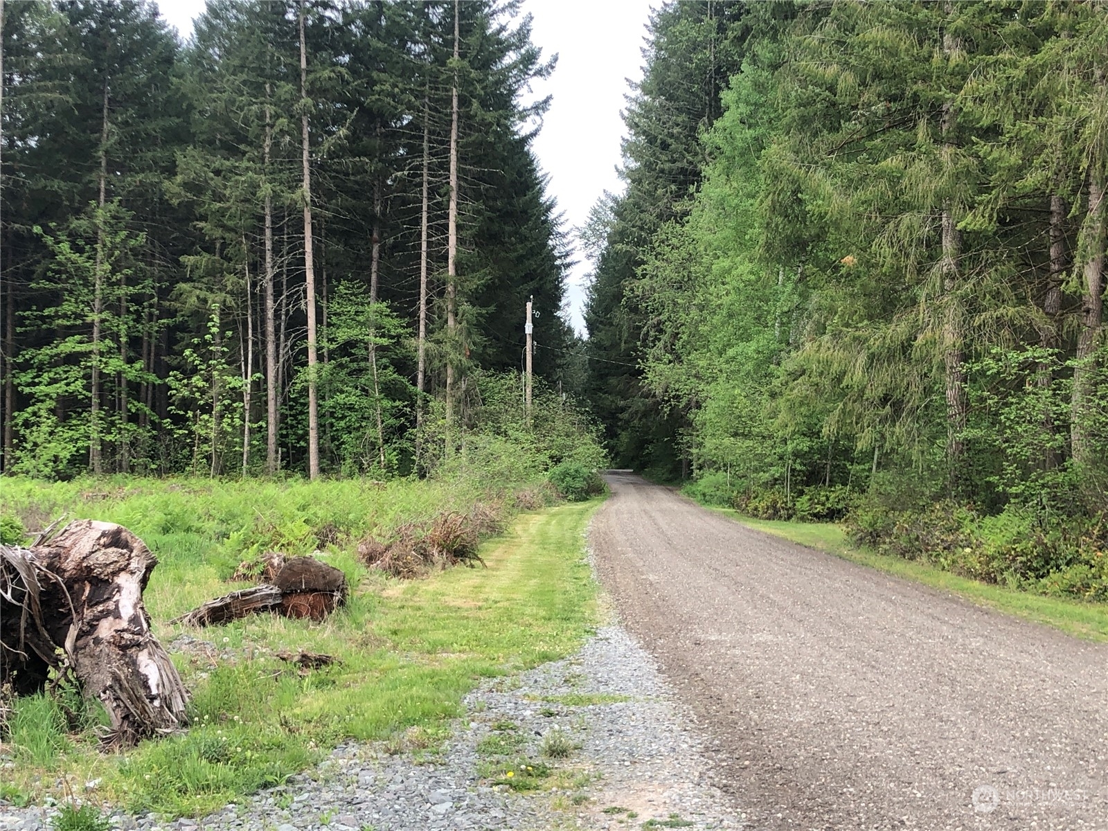 Property Photo: 0 346th Street E WA 98580