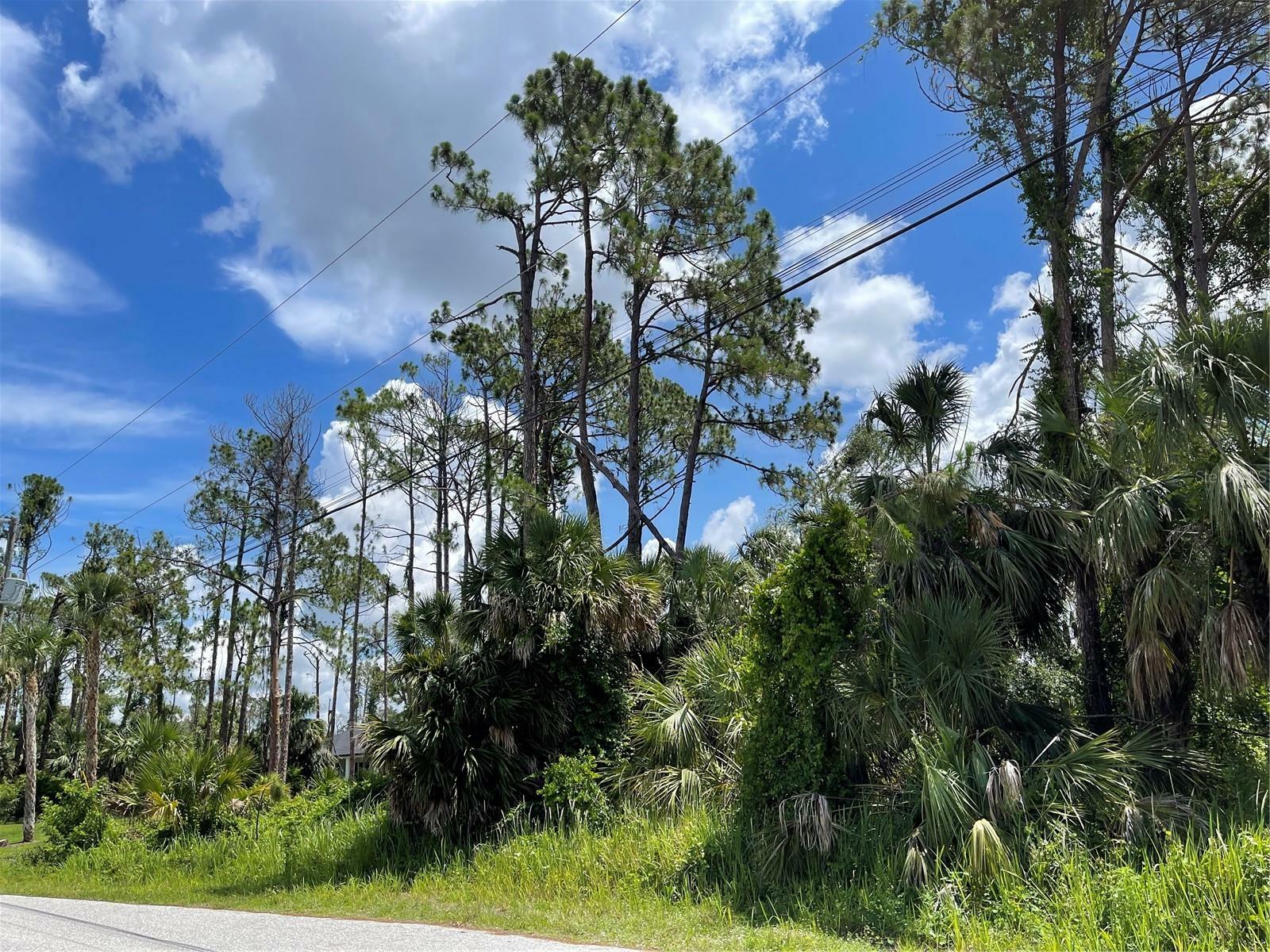 Property Photo:  Lot 16 Rufus Road  FL 34288 