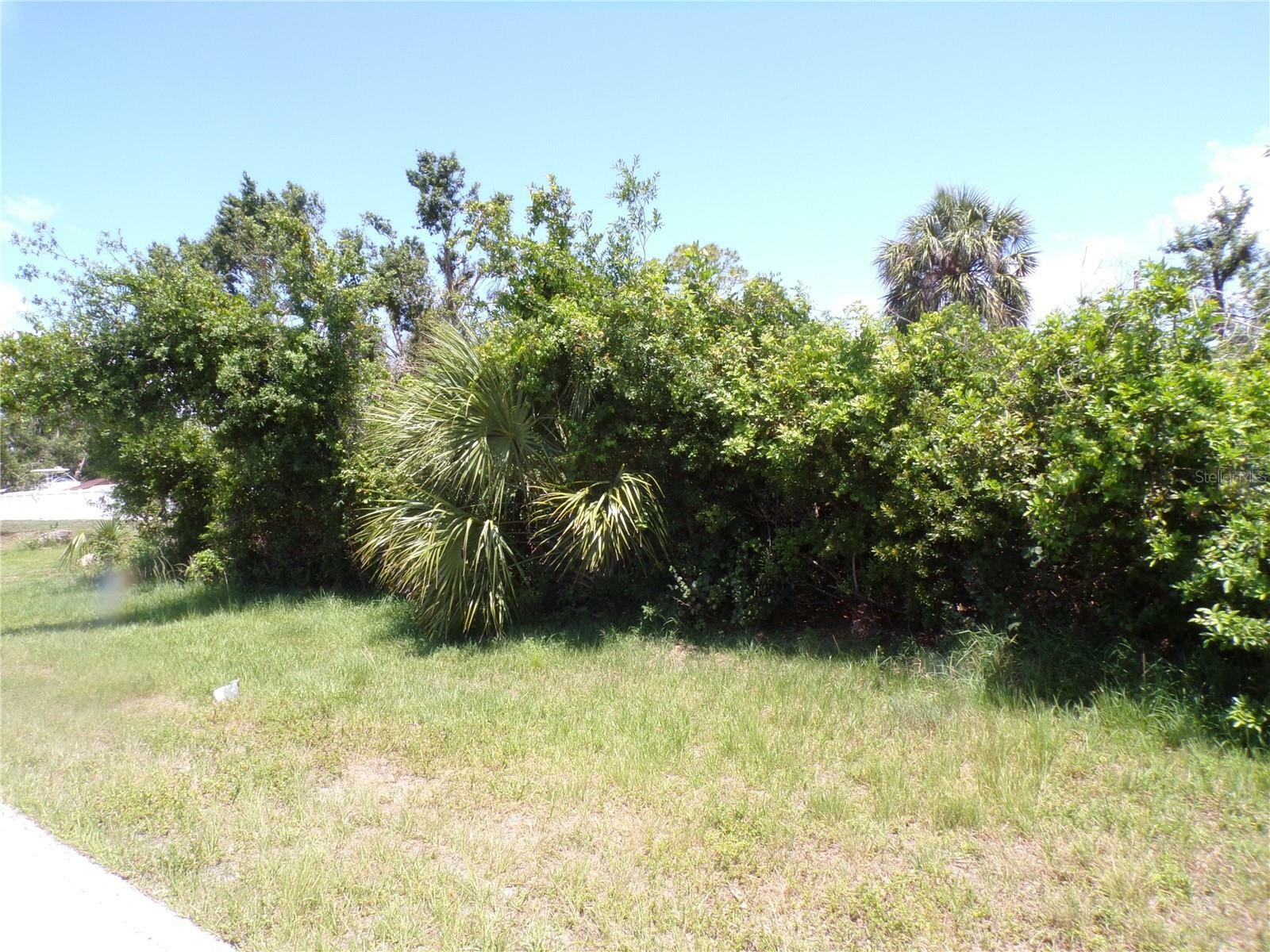 Property Photo:  13576 Foresman Boulevard  FL 33981 