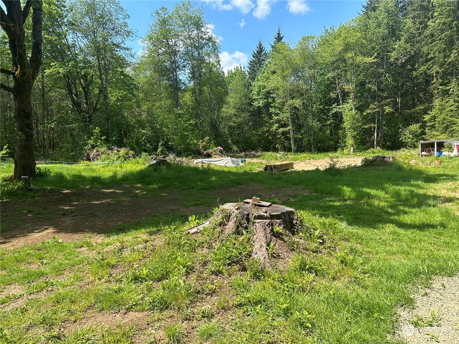 Property Photo:  138 Thompson Road 10  WA 98533 