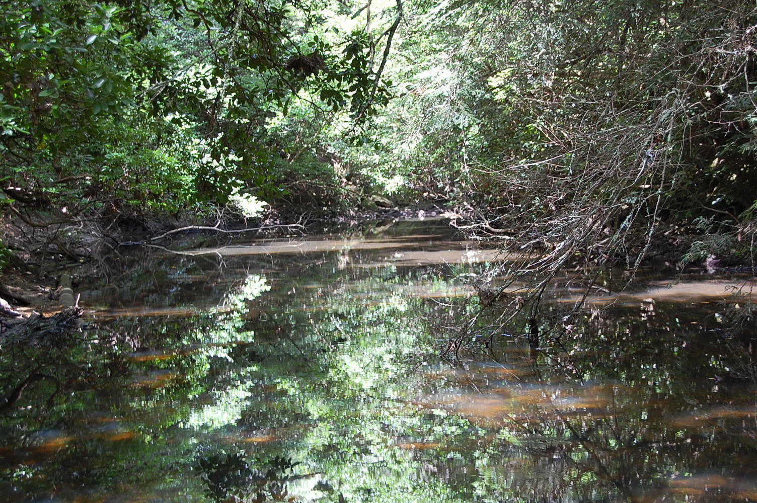 Property Photo: 271 Anderson Road TN 37365