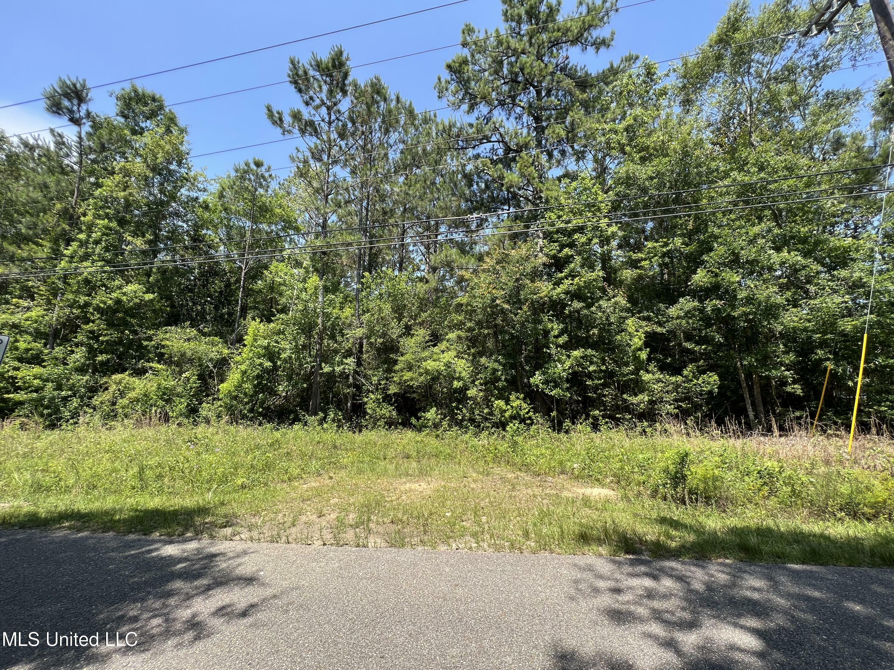 Property Photo:  00 Woolmarket Lake Road  MS 39532 