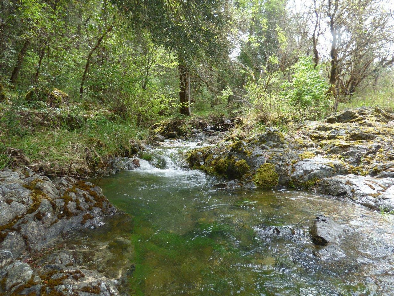 Property Photo: 2832 Winona Road OR 97526