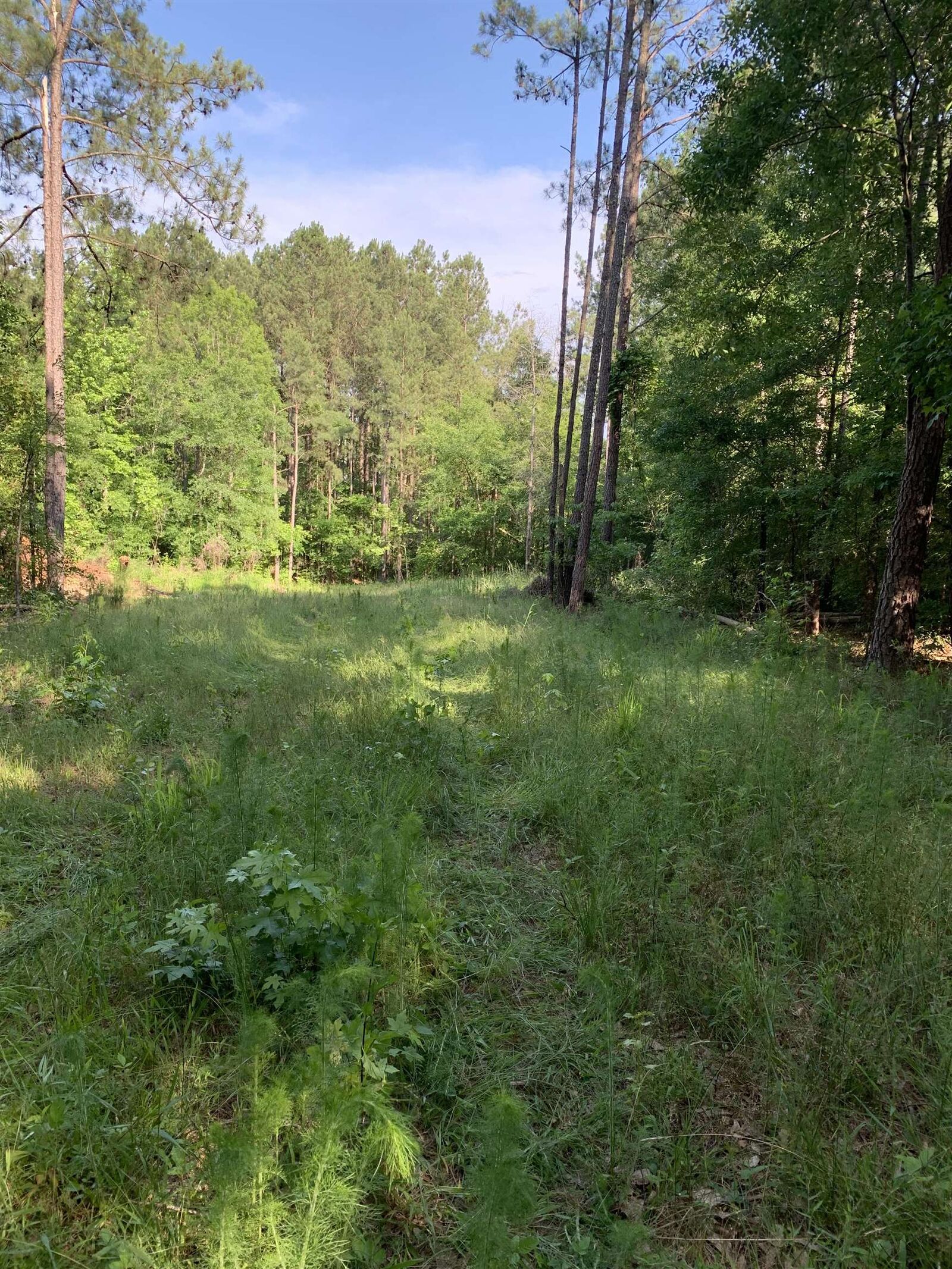 Property Photo:  0 Old Union Point Road  GA 30642 