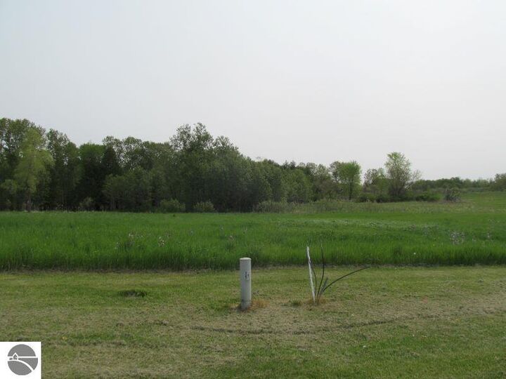 Property Photo:  Lot #14 Hemlock Street  MI 49657 