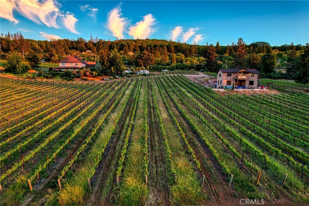 Property Photo:  8664 Seigler Springs N  CA 95451 