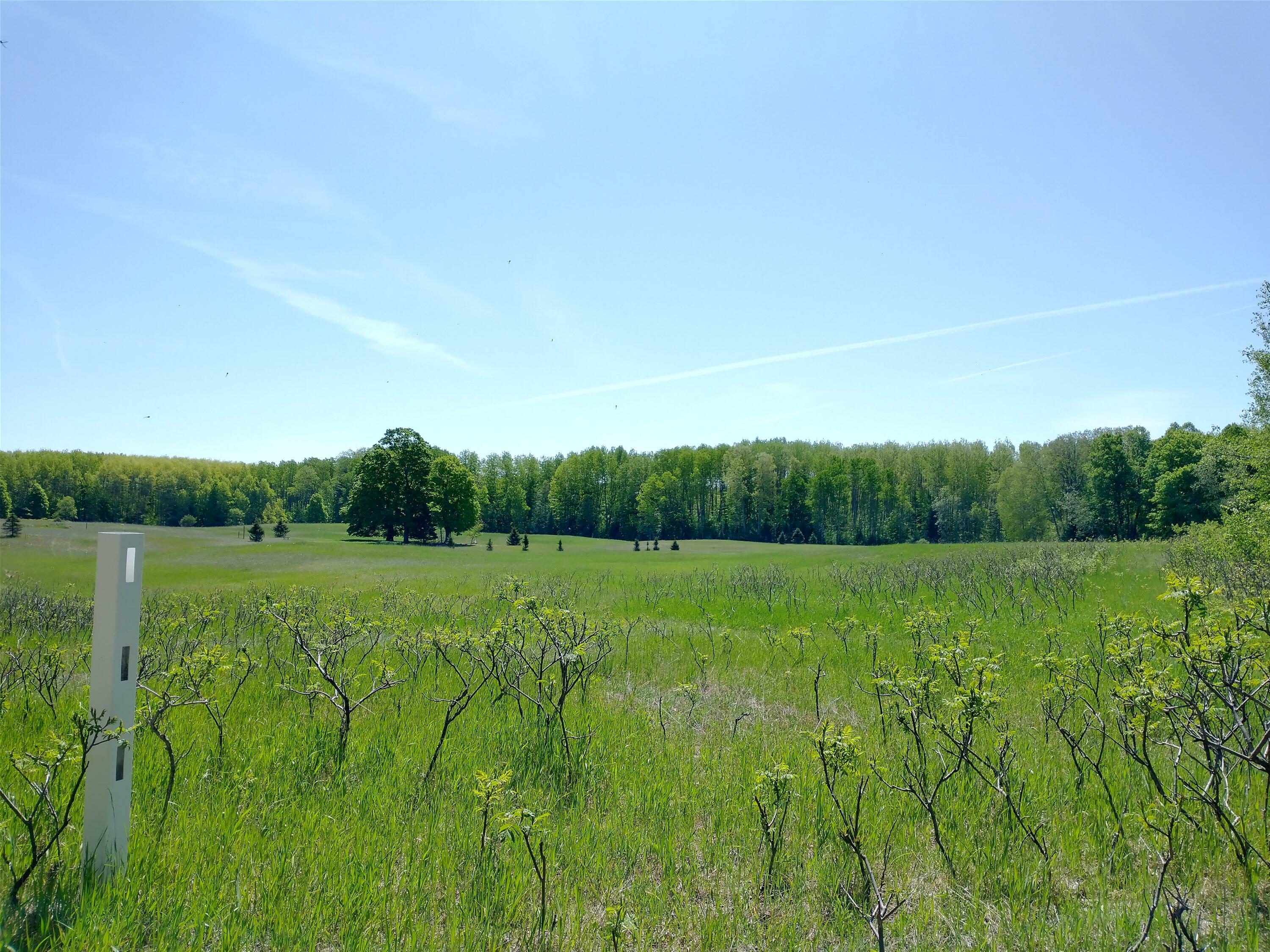 Property Photo: Tbd Ottawa Trail MI 49716