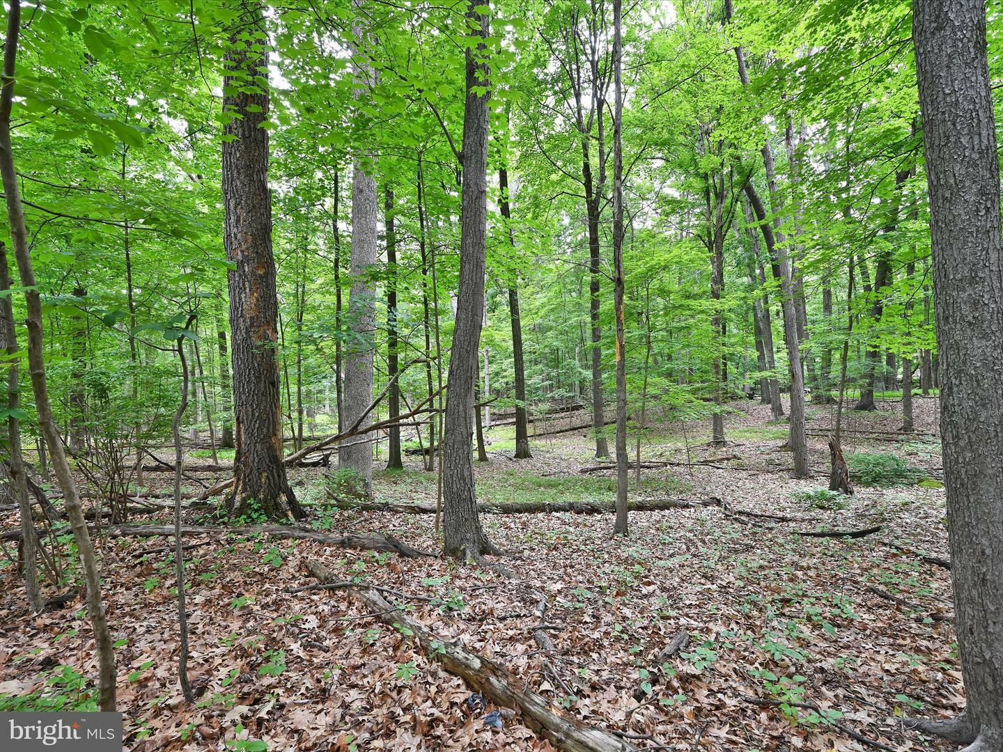 Property Photo:  0 T 513 3 Point Garden  PA 18301 