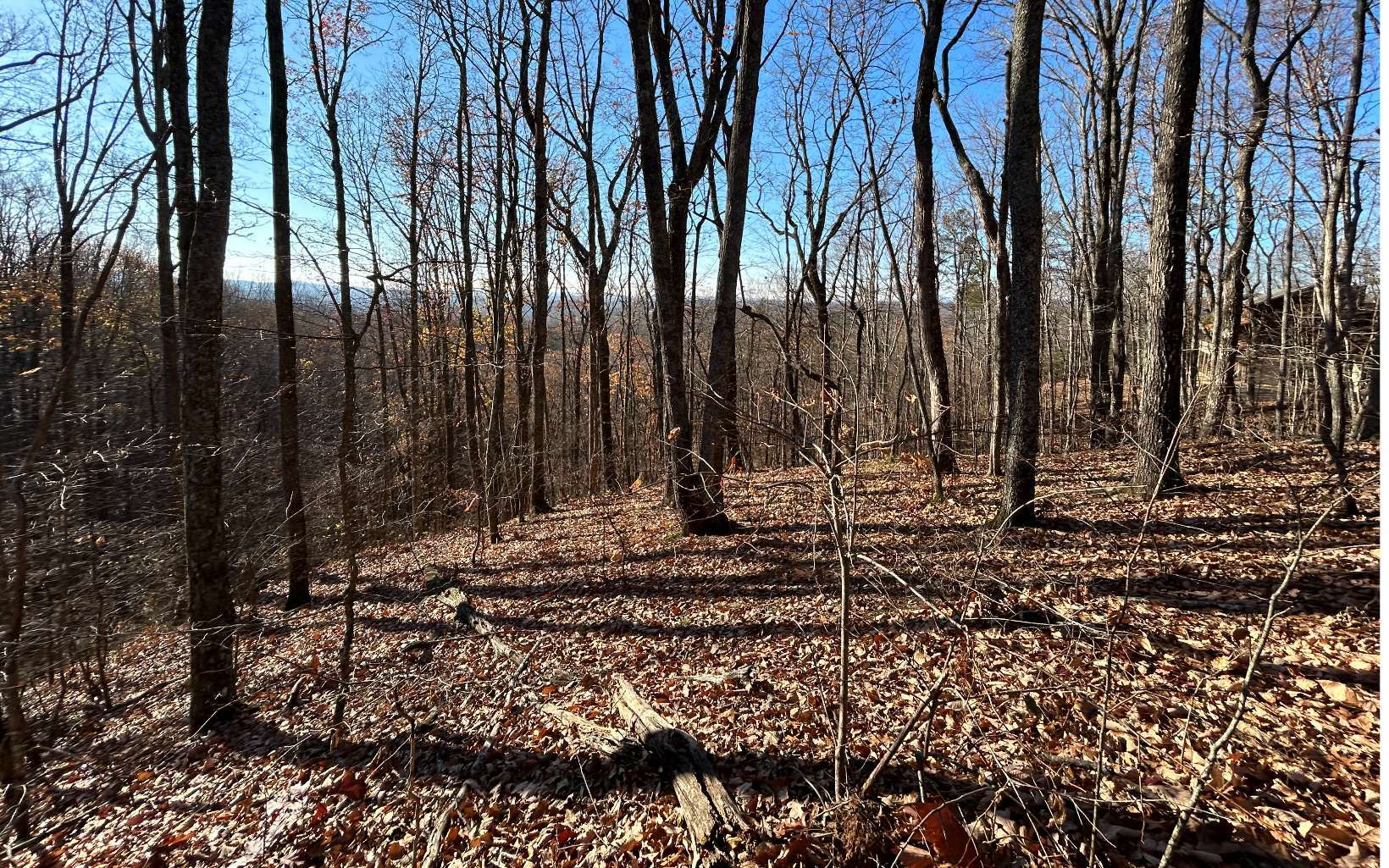 Property Photo: Lt 33 Heatherwood Way GA 30175