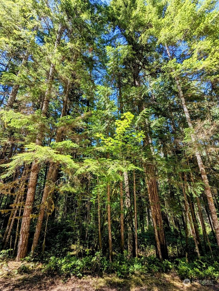 Property Photo: 0 Lot 64 Cacade River Park 02 WA 98267