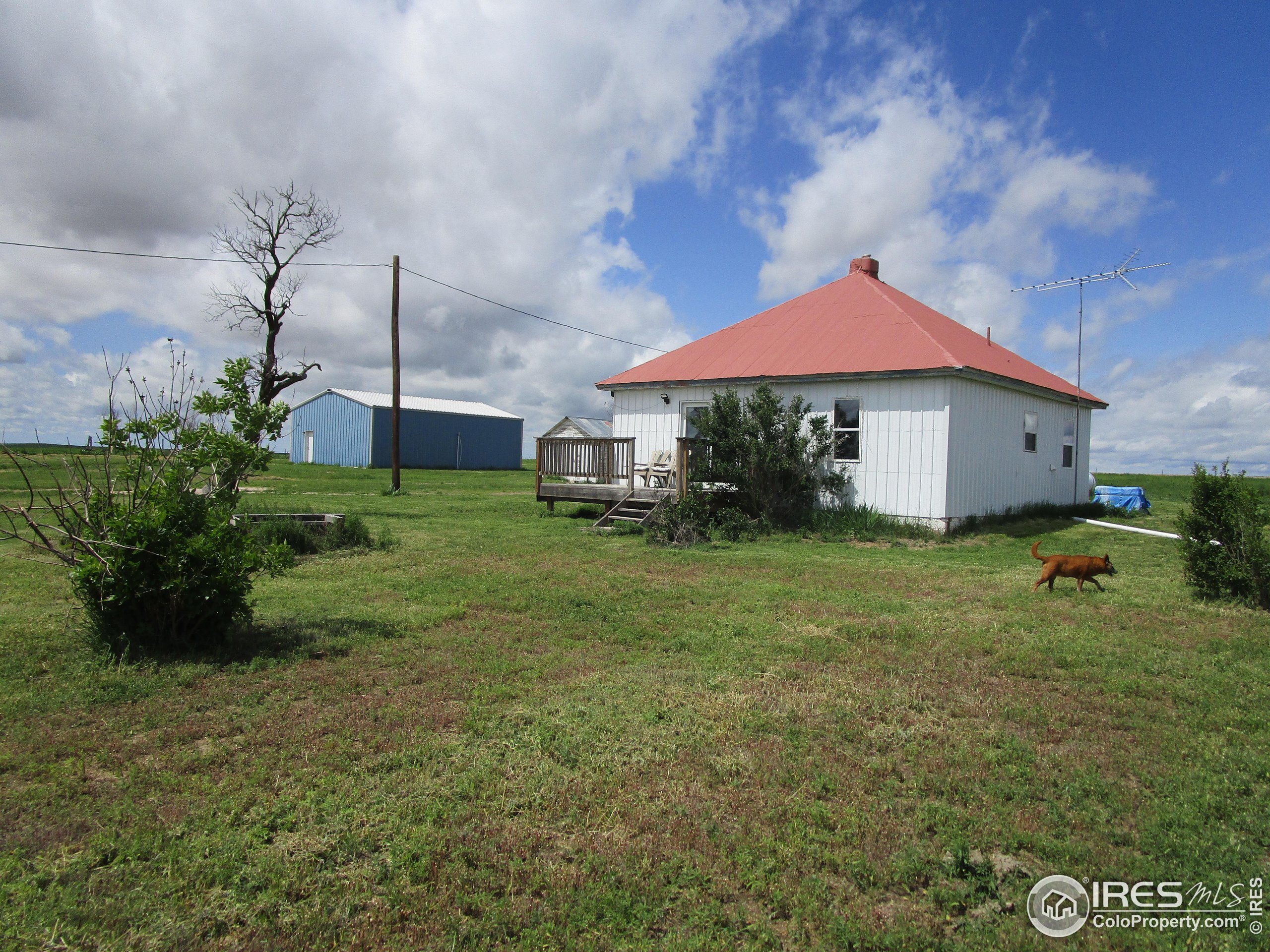 Property Photo:  10573 County Road 165 Rd  CO 80830 