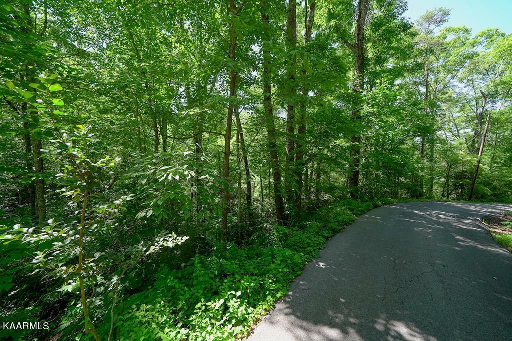 Property Photo:  Lot 33 Ownby Circle  TN 37738 