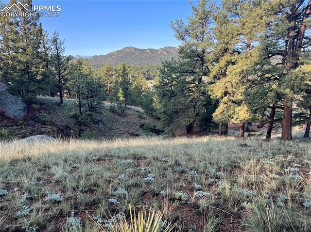 Property Photo:  28 Pinnacle Circle  CO 80816 