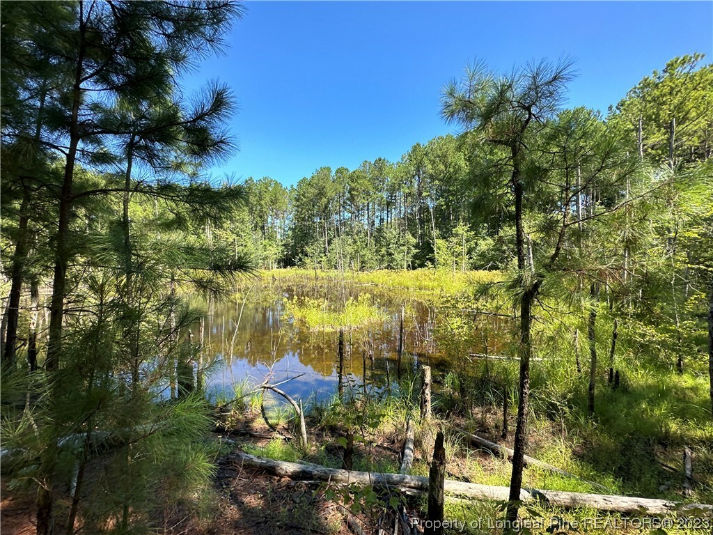 Property Photo: Tbd Pinewood Road NC 27332