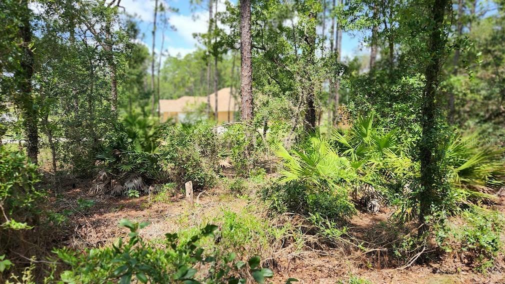 Property Photo:  Lot 2 SW 61st Place Road  FL 34481 