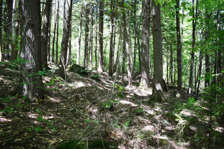 Property Photo:  44 Black Bear Road Lot #21 On The Recorded Subdivision Plan.  NH 03262 