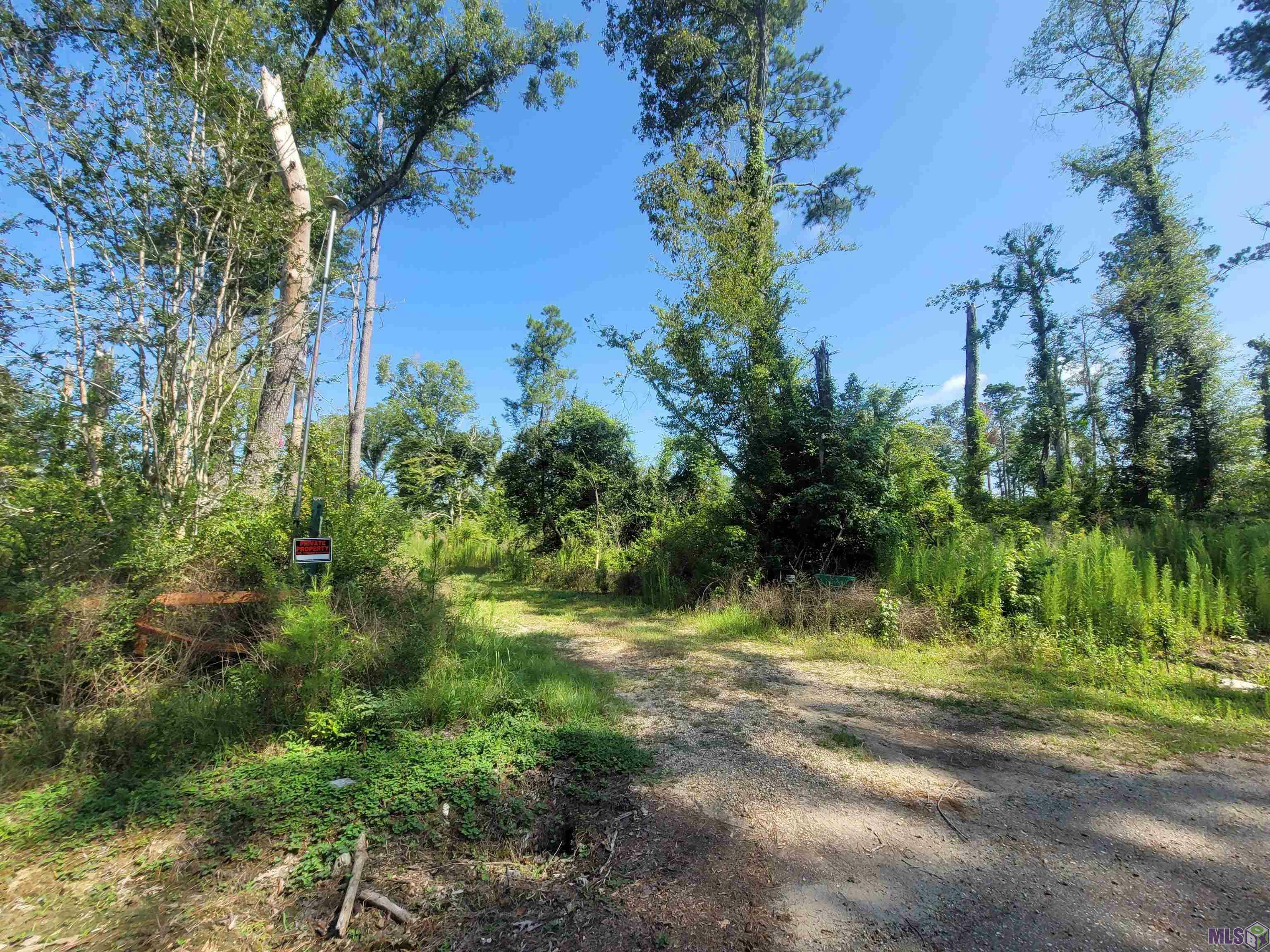 Property Photo:  36727 Albin Rd  LA 70443 