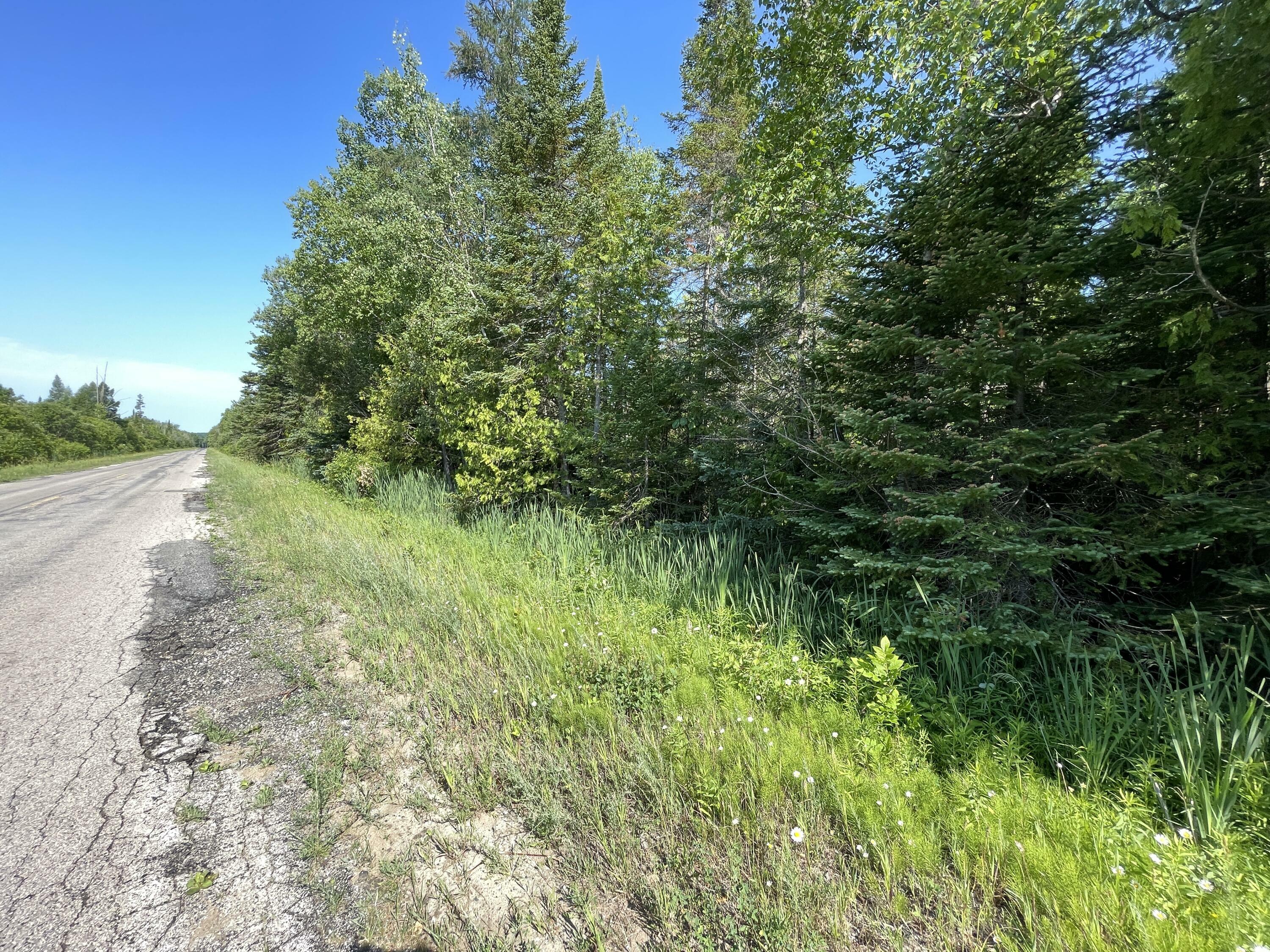 Property Photo:  2801 E Gill Road 38+ Acres  MI 49718 