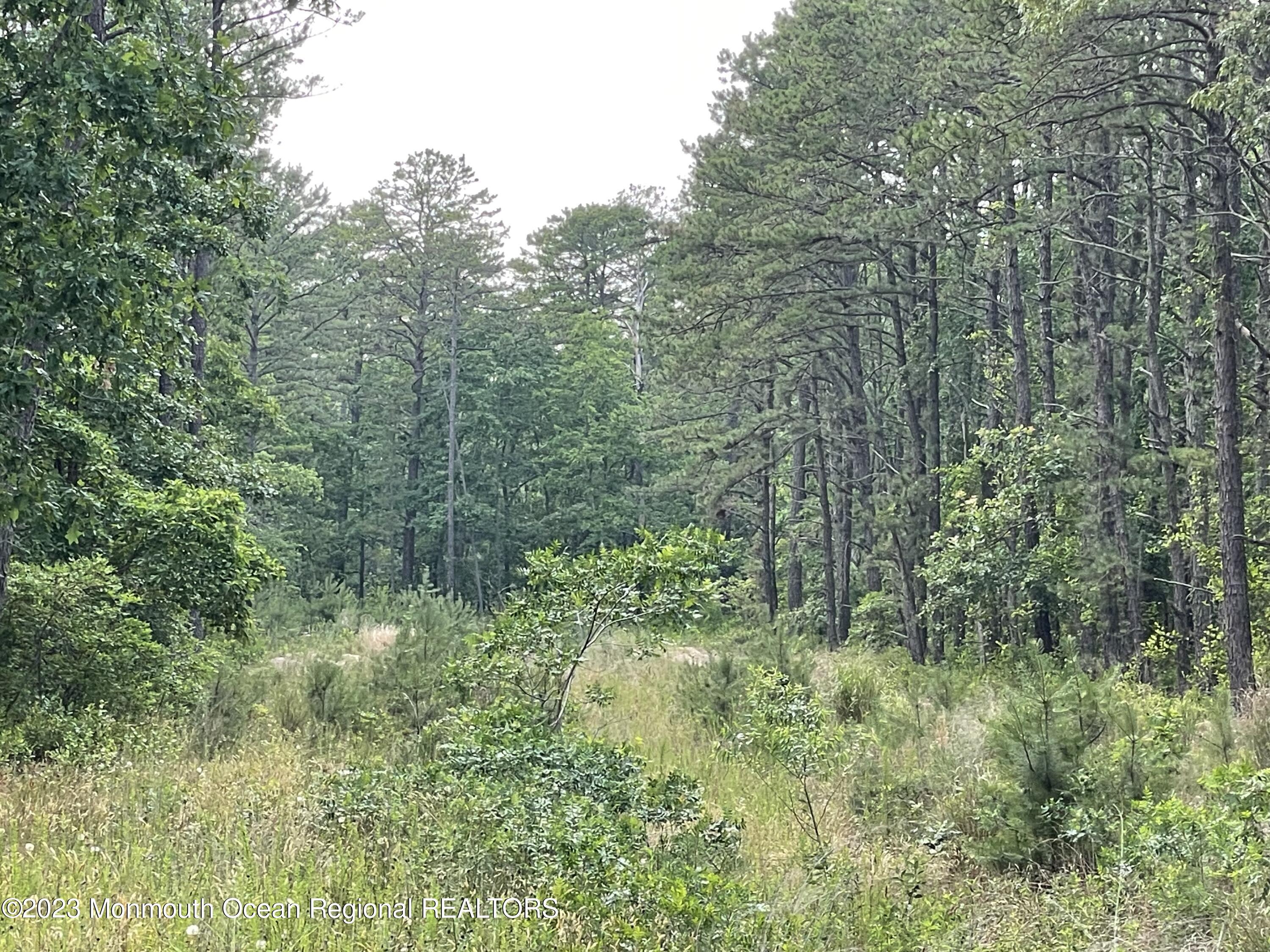 Property Photo: 0 Buttonwood Road NJ 08234