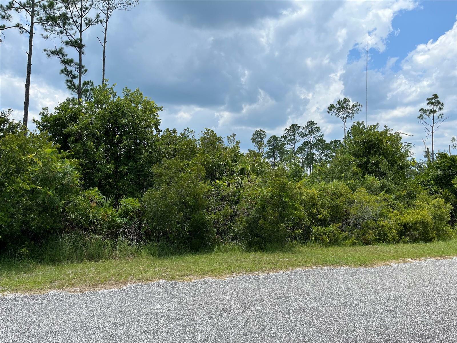 Property Photo:  Apricot Avenue  FL 32736 