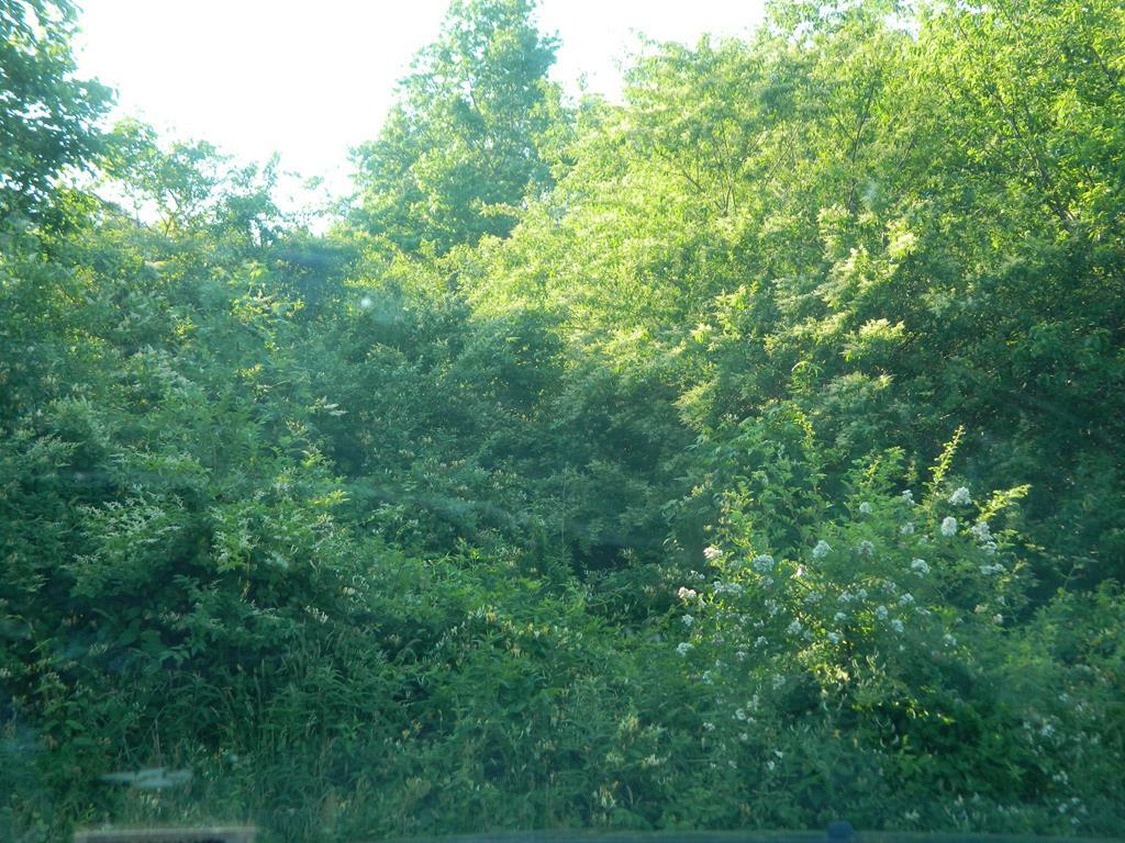 Property Photo:  Lot7-7B Lankford Hwy  VA 23410 