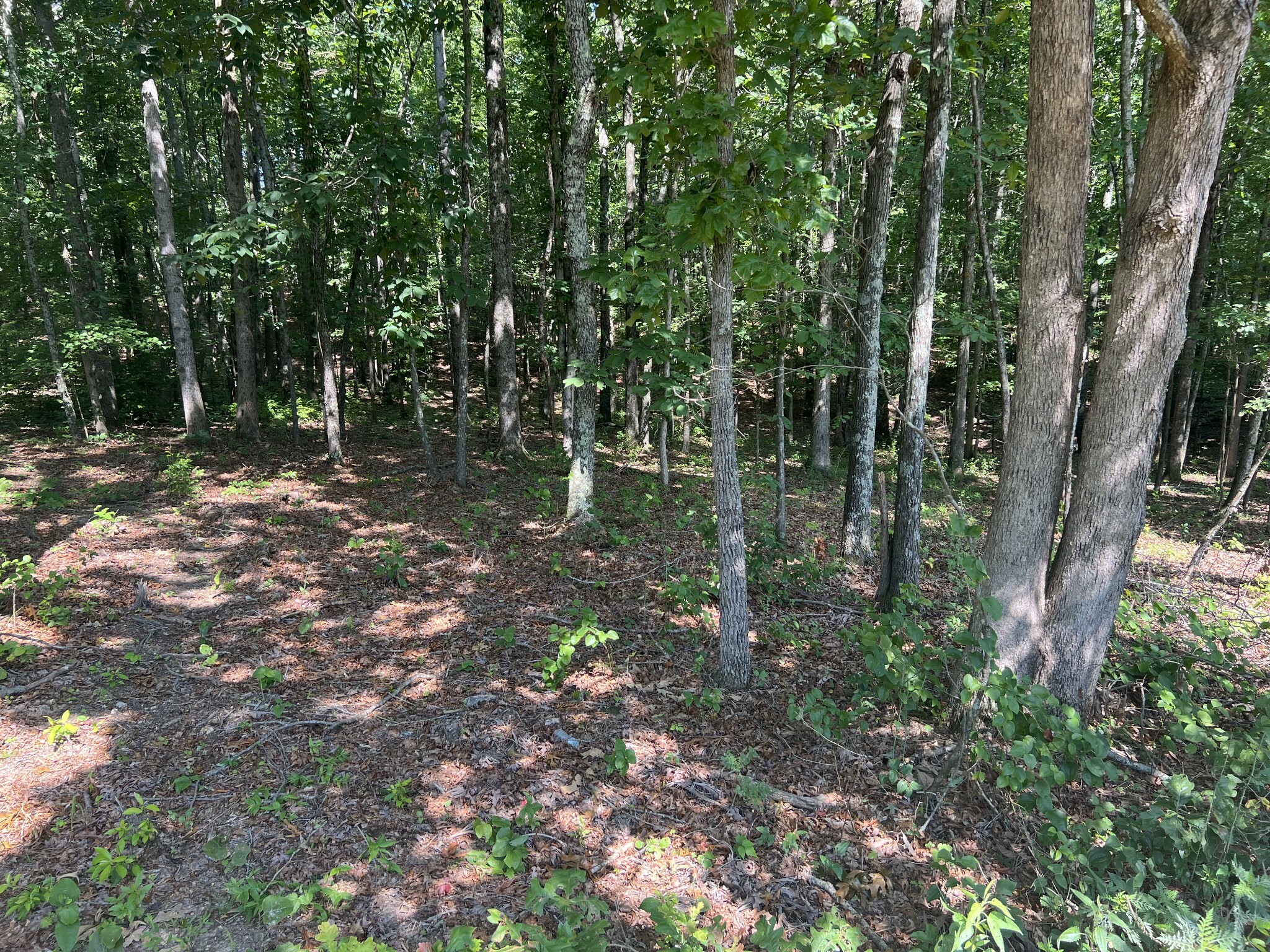 Property Photo:  1399 Turnpike Rd  TN 38483 