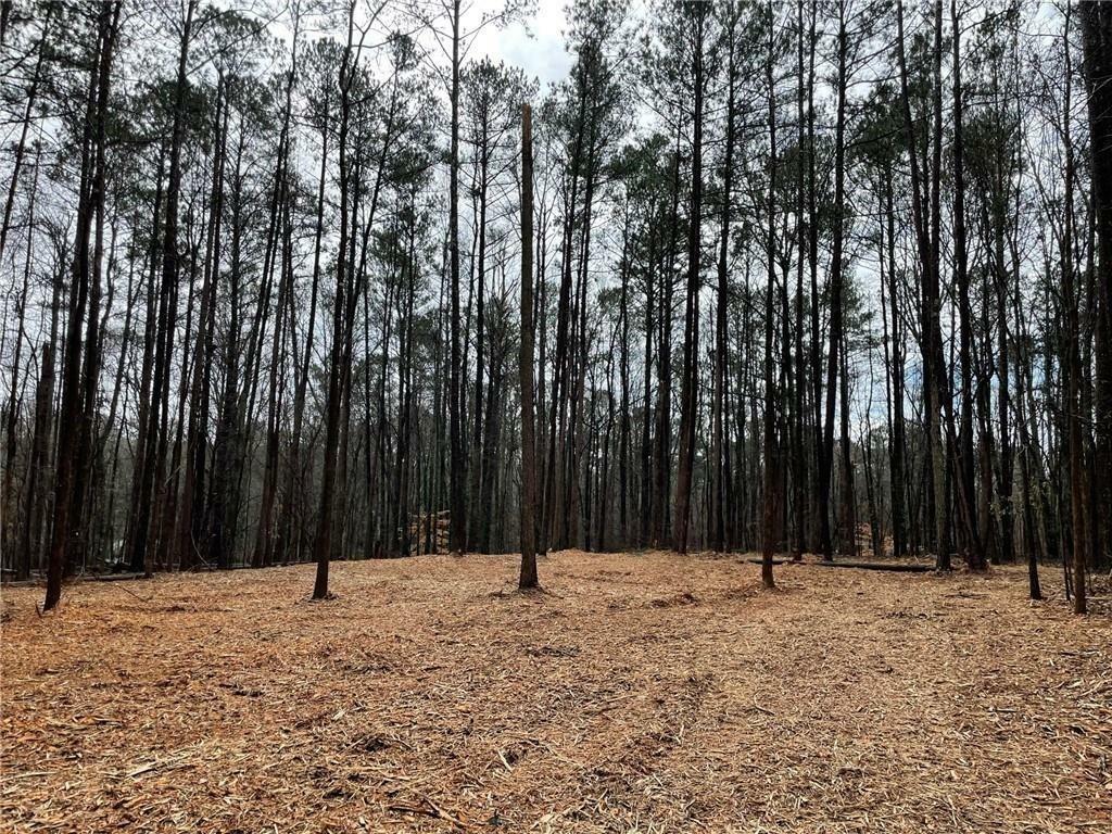 Property Photo:  0 Old Alabama Road  GA 30126 