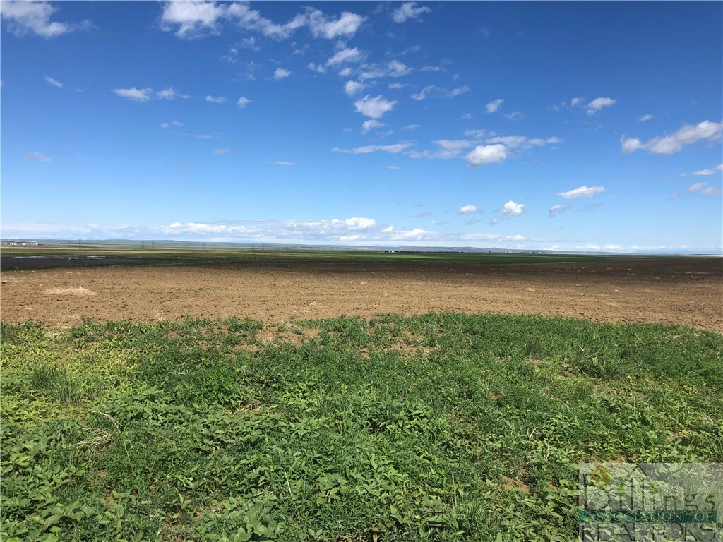 Property Photo: Tract 3/Tbd Robinson Road MT 59002