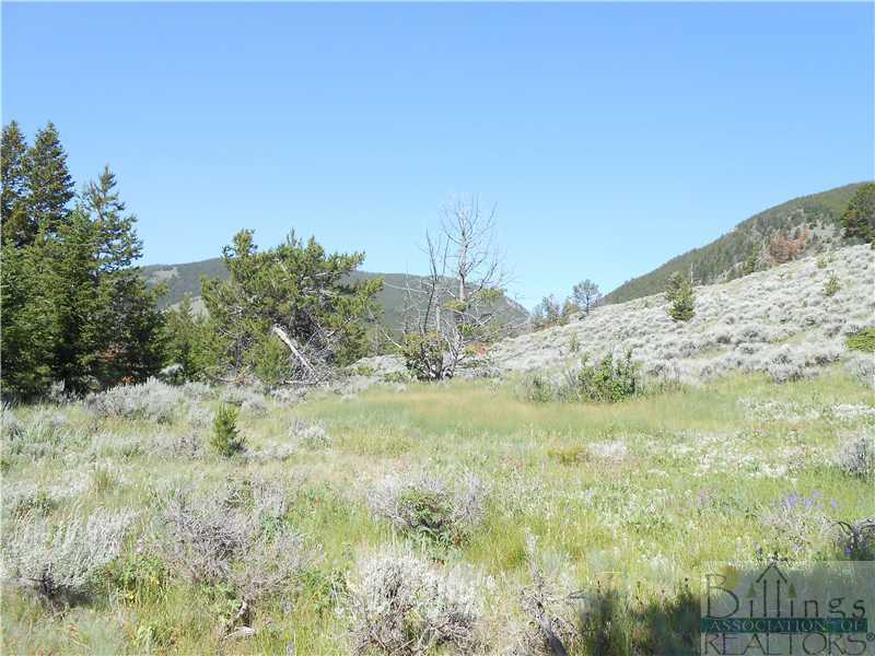 Property Photo: Nsn West Fork Draw MT 59068
