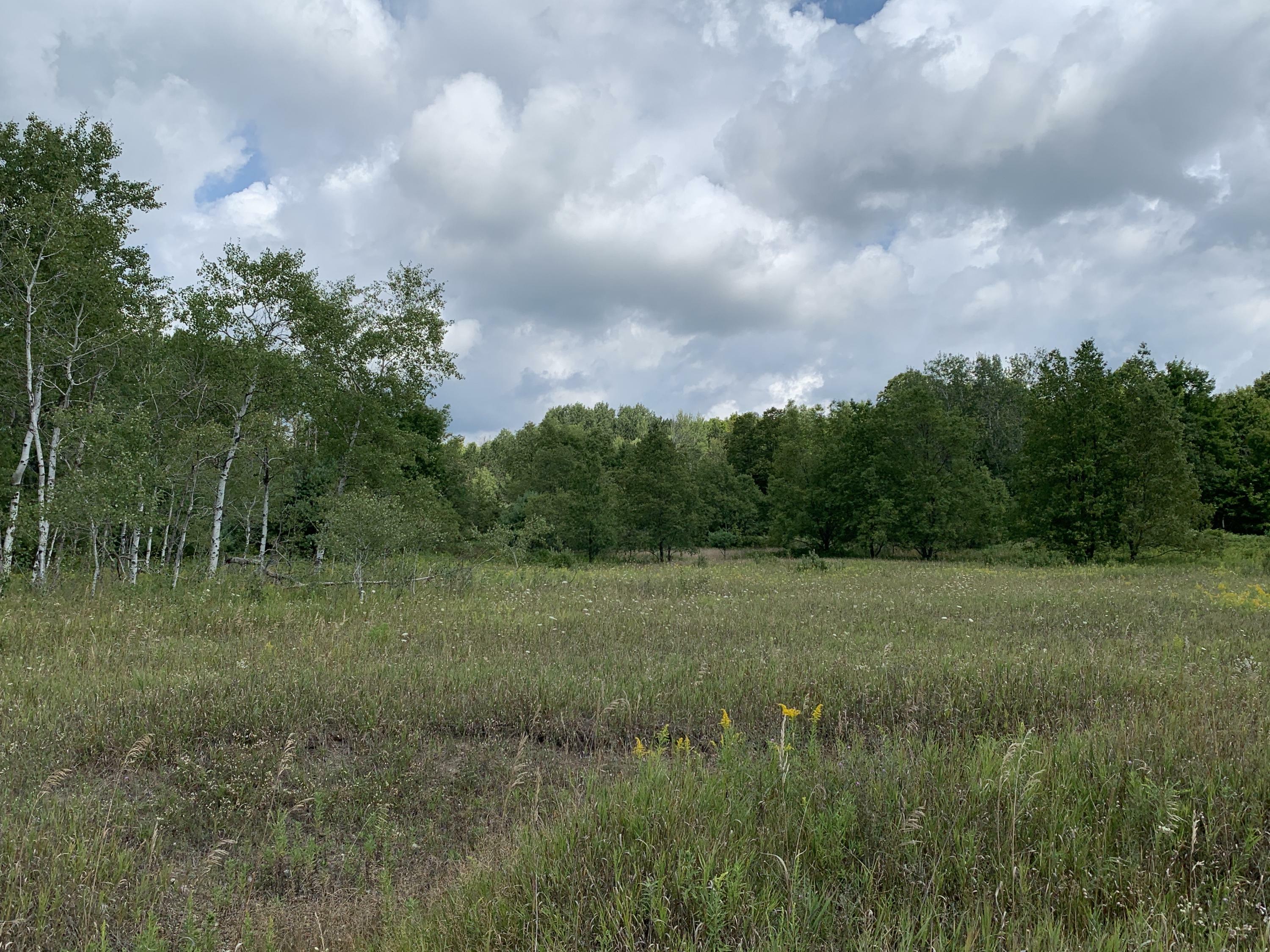 Property Photo:  Old Mackinaw Trail  MI 49713 