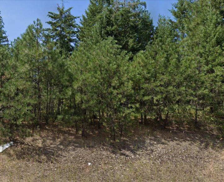 Xxx W Findley Ln  Deer Park WA 99006 photo