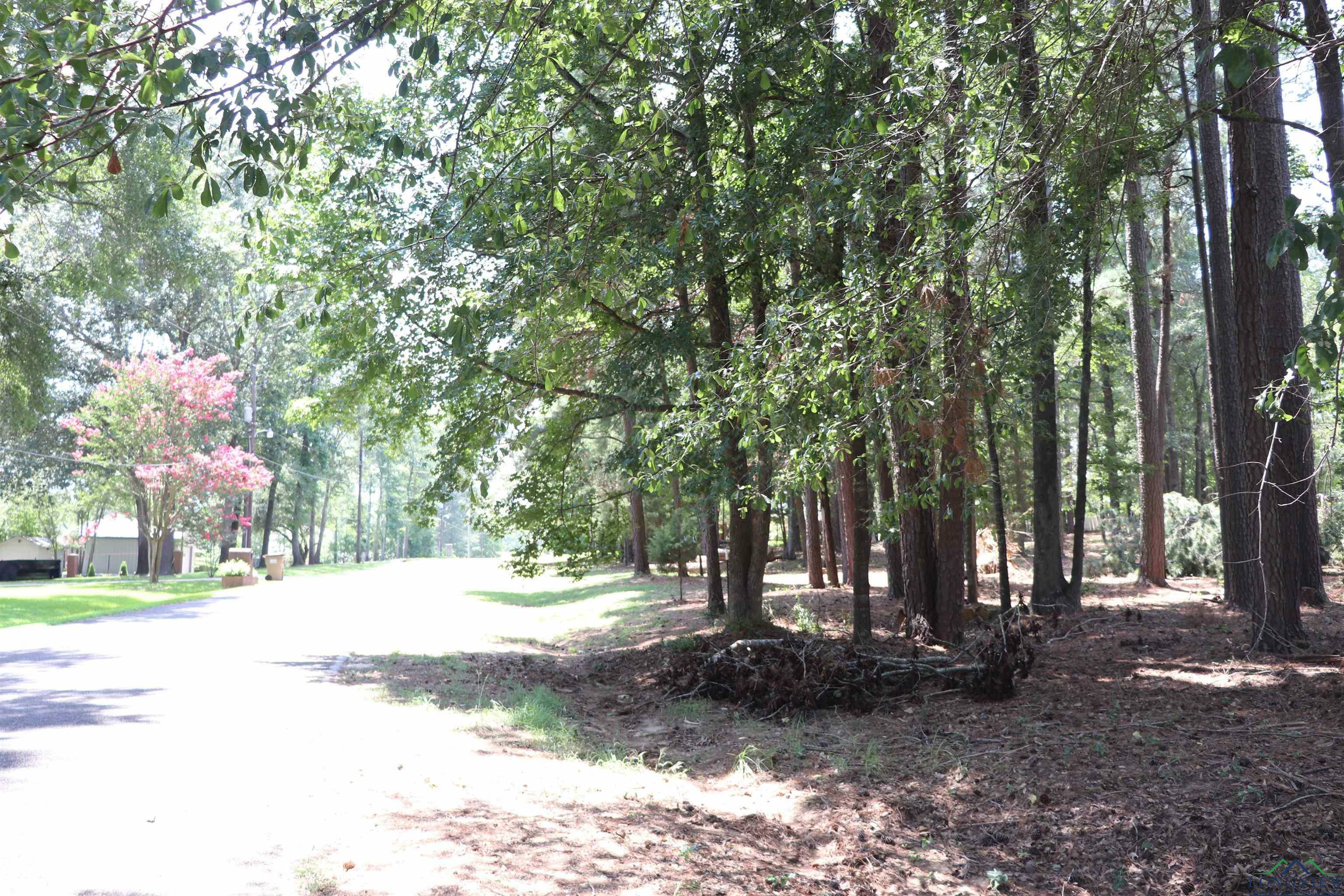 Property Photo:  Tbd Pine Island Dr  TX 75672 