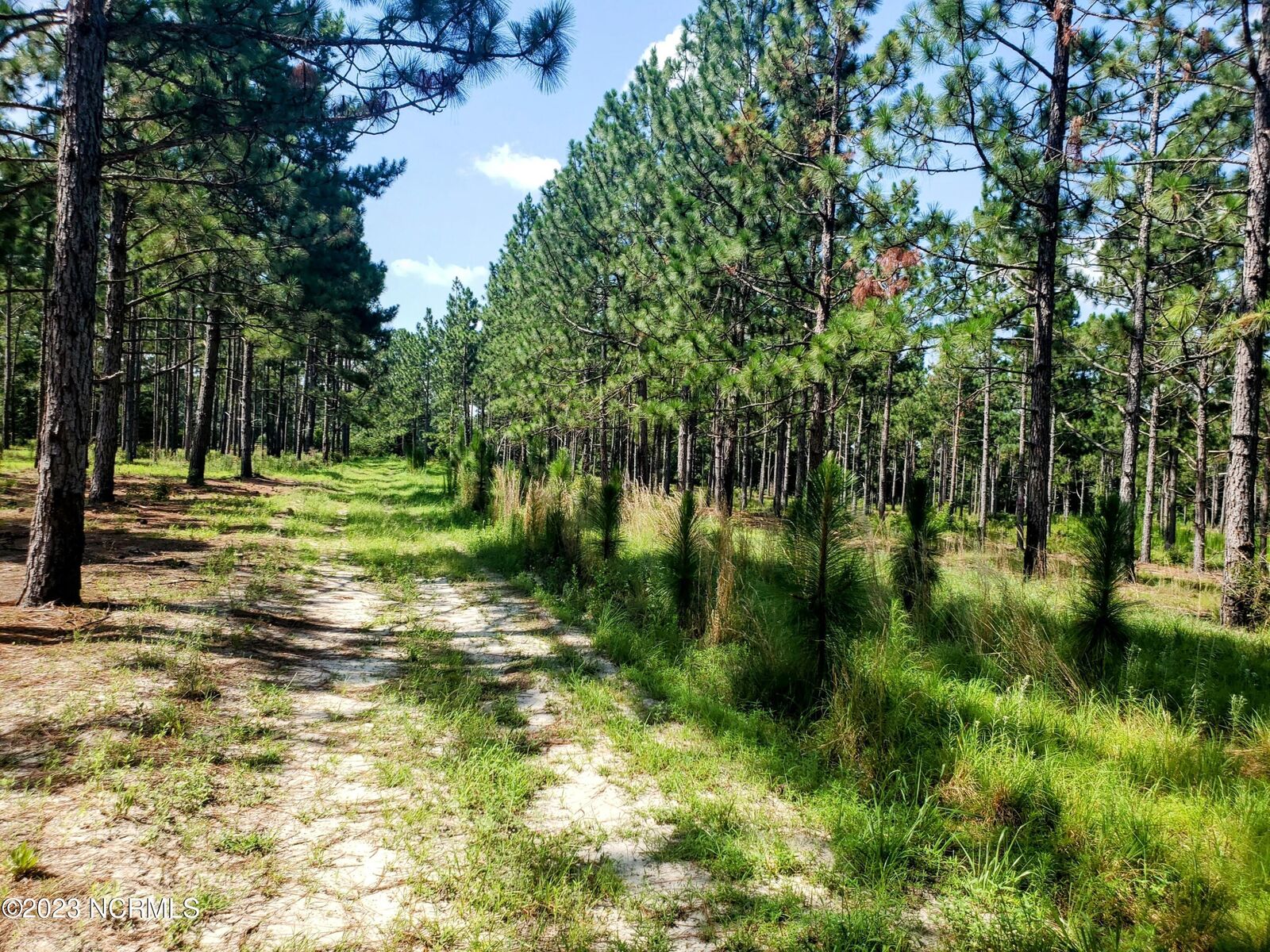 Property Photo: 1768 Reservation Road NC 28315