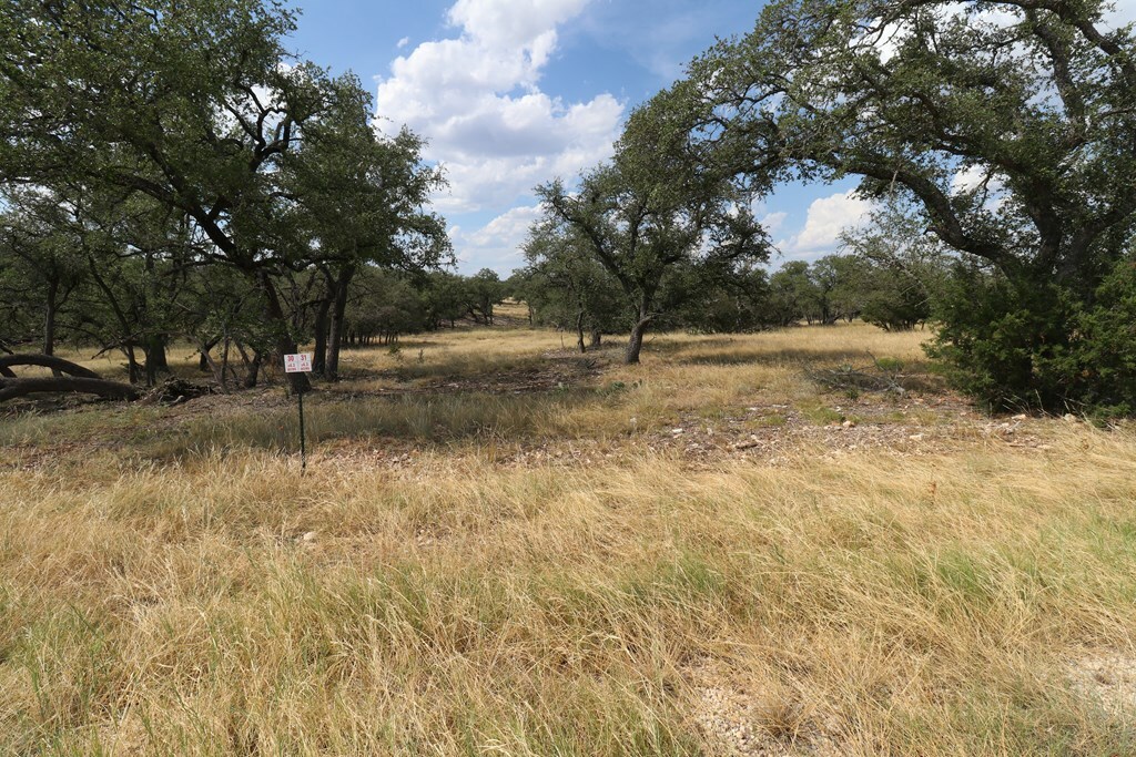 Property Photo:  Lot 31 Nott Branch Rd  TX 78631 