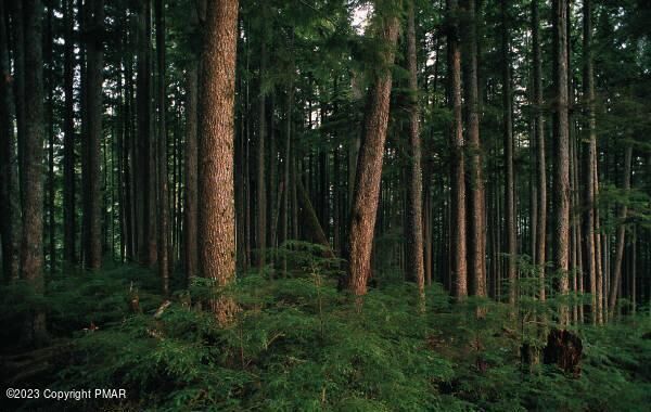 Property Photo: Lot 204 Skyline Drive PA 18610