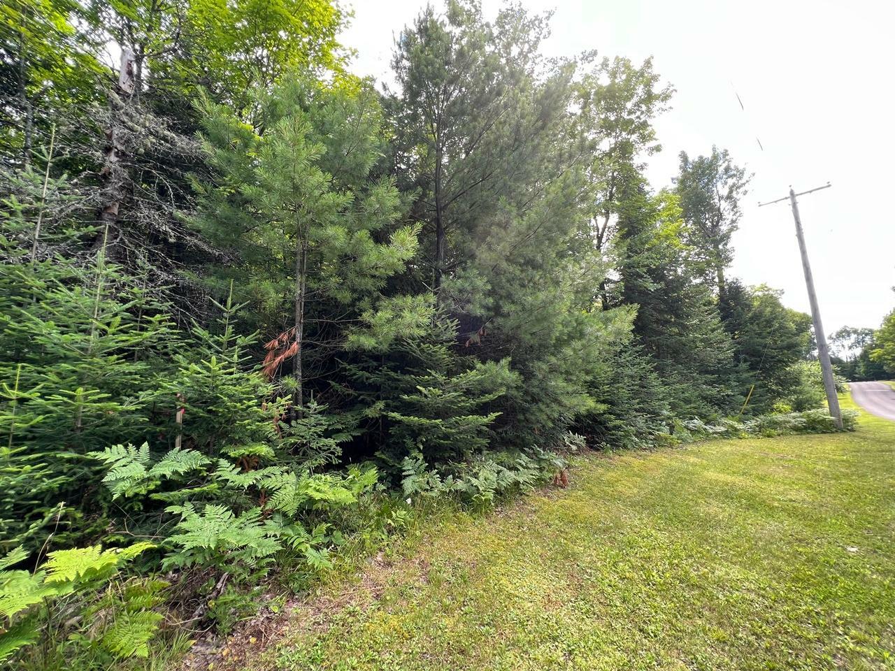 Property Photo:  Lt 2 632 Mercer Lake Cr N  WI 54547 