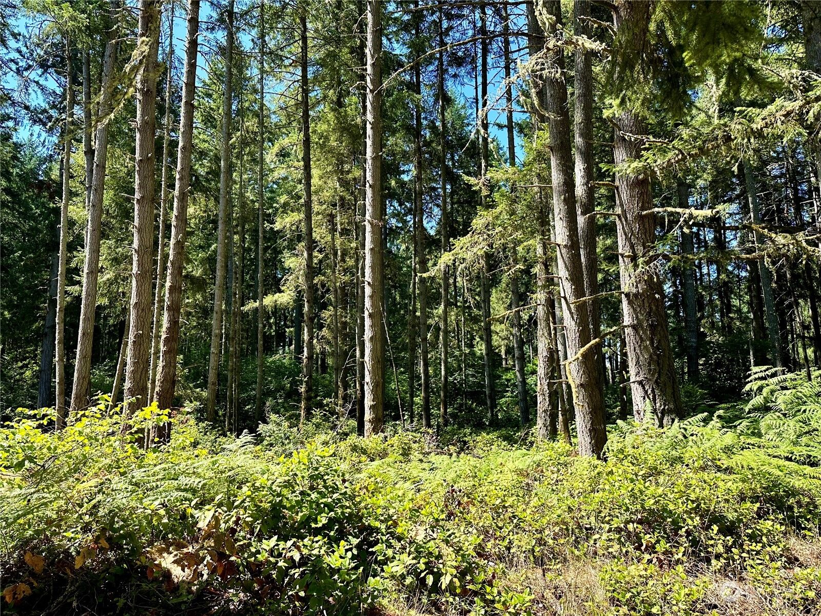 Property Photo:  10928 118th Avenue Ct  WA 98303 