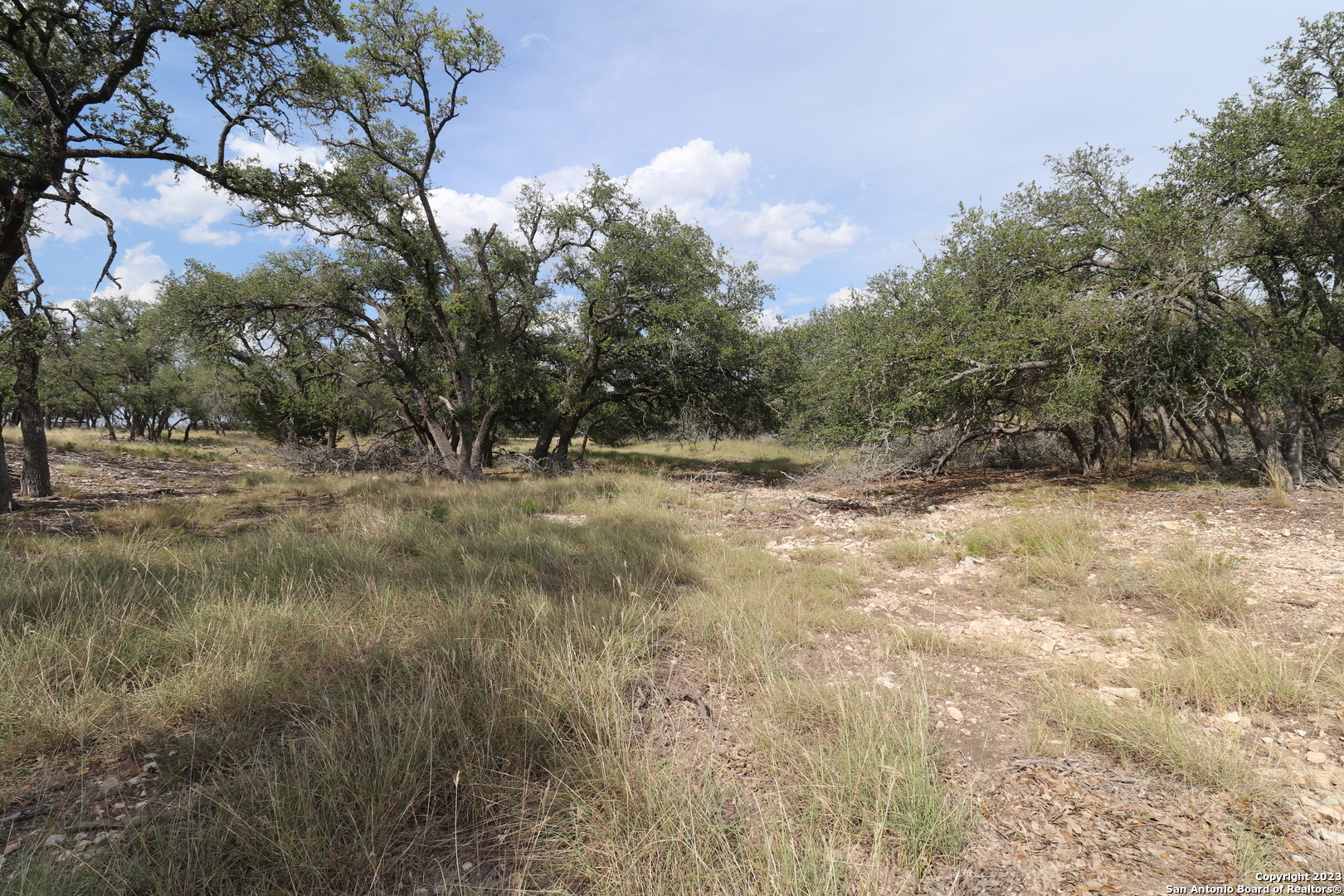 Property Photo:  Lot 30 Nott Branch Rd  TX 78631 