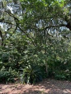 Property Photo:  7 Painted Bunting  FL 32034 