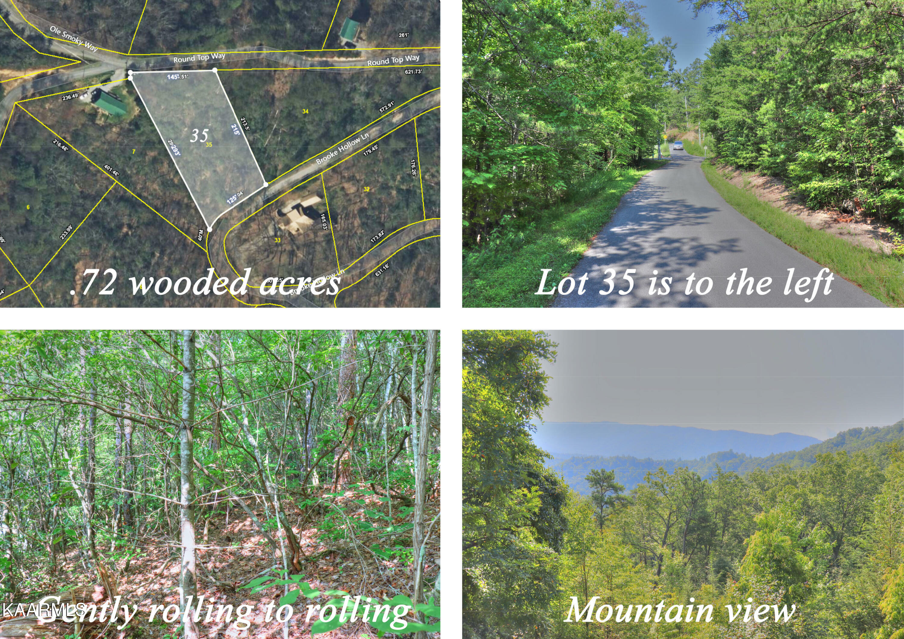 Property Photo: Lot 35 Round Top Way TN 37862