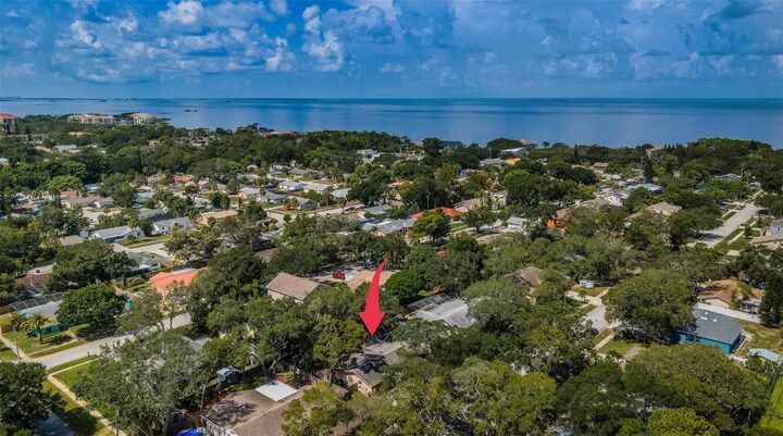 Property Photo:  1004 Rosetree Lane  FL 34689 