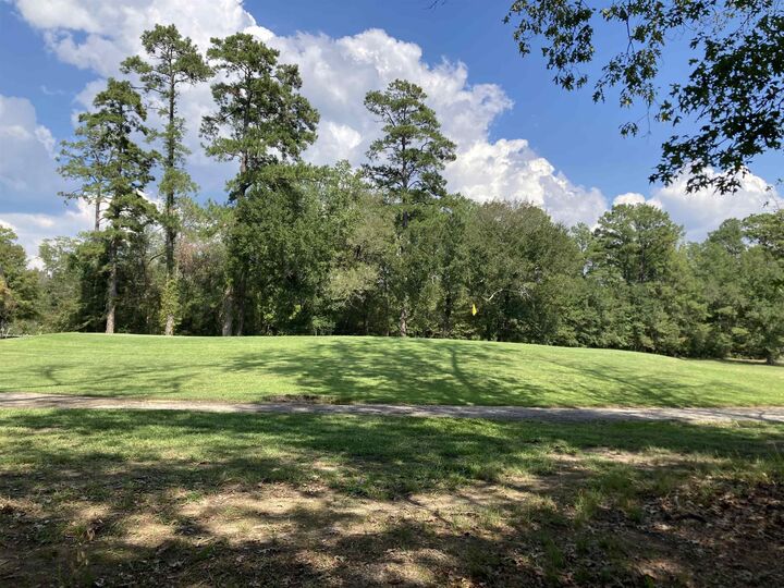 Property Photo: Lot 13 Lakeview Drive TX 77659
