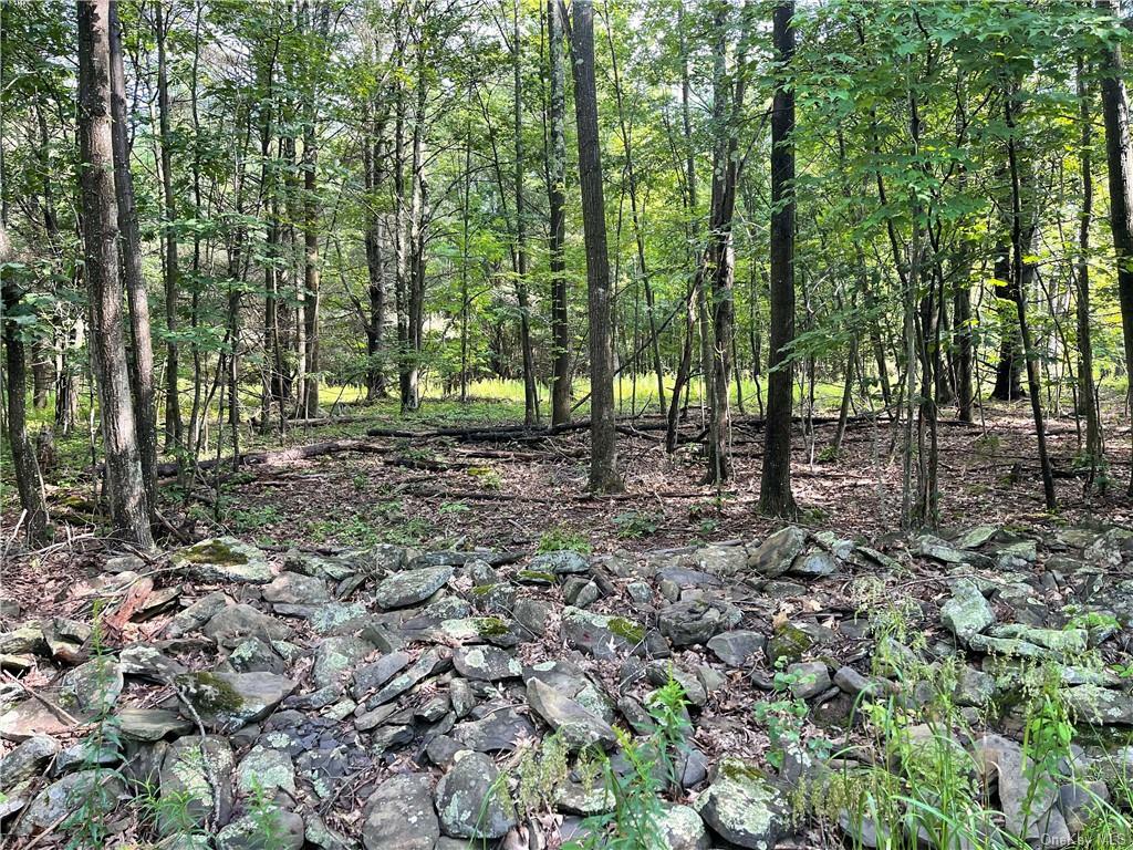 Property Photo:  Karlau Road  NY 12157 